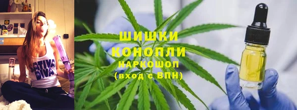 PSILOCYBIN Балахна